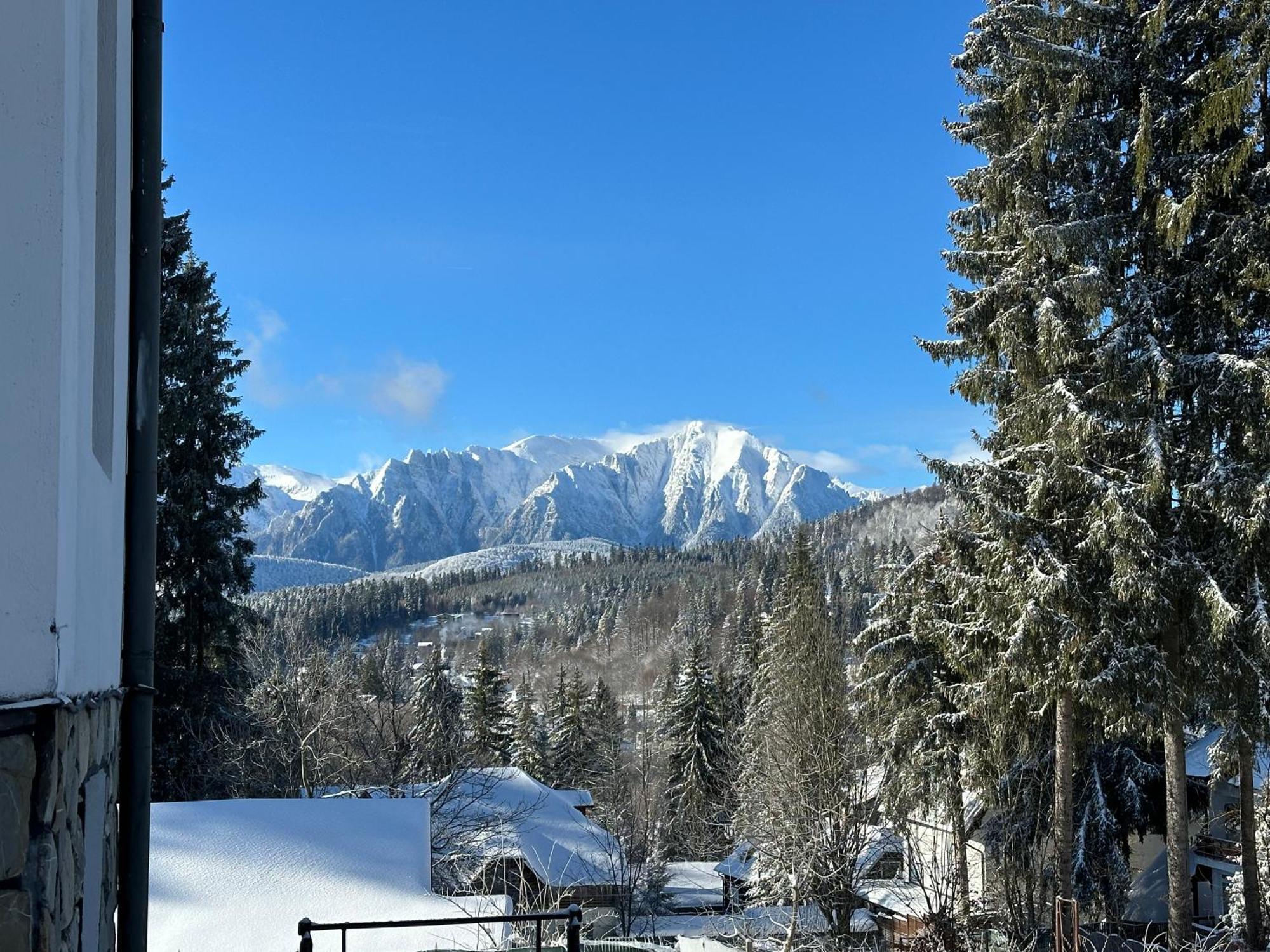 Pine Peak Apartments Предеал Екстериор снимка