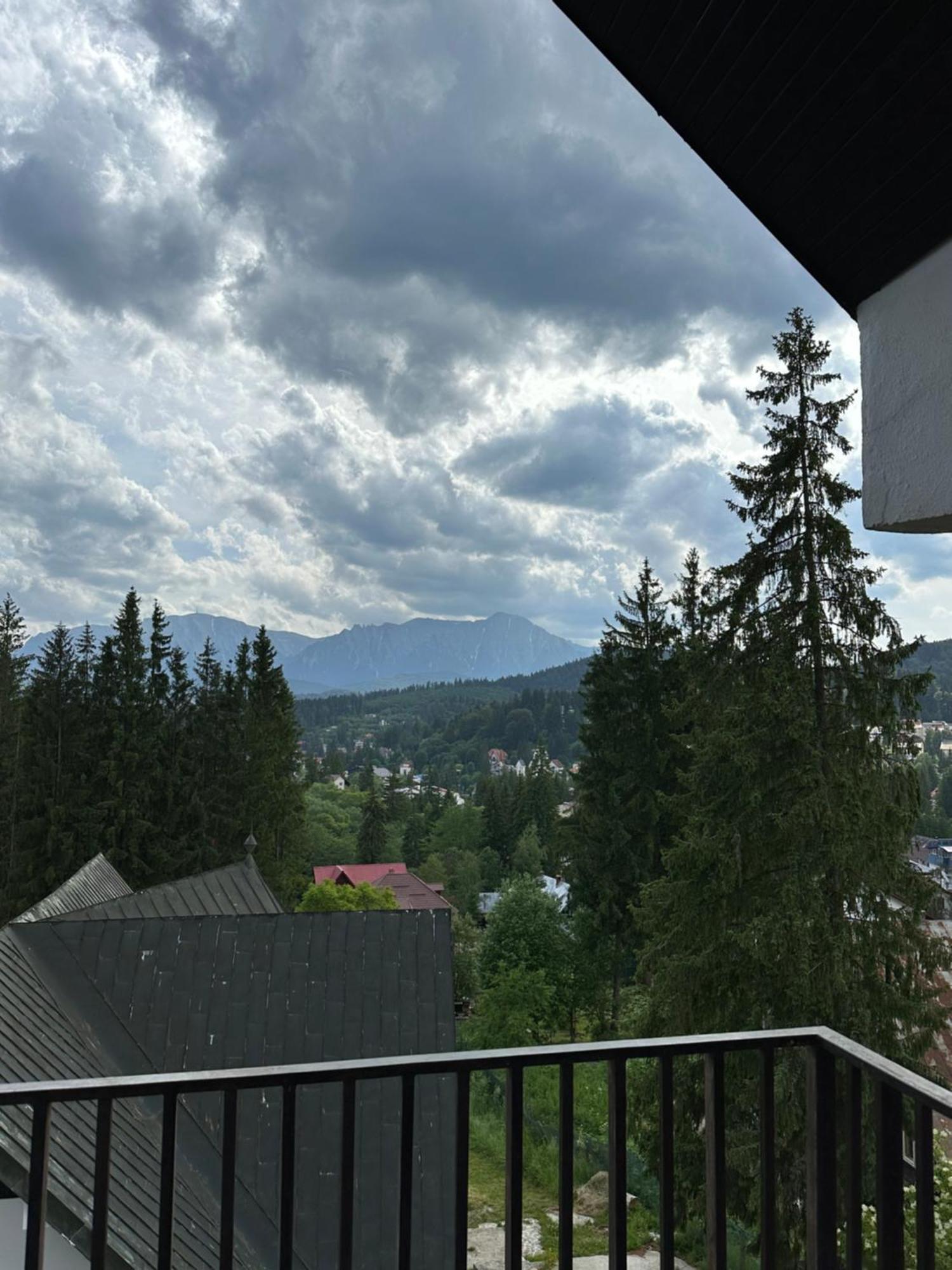 Pine Peak Apartments Предеал Екстериор снимка